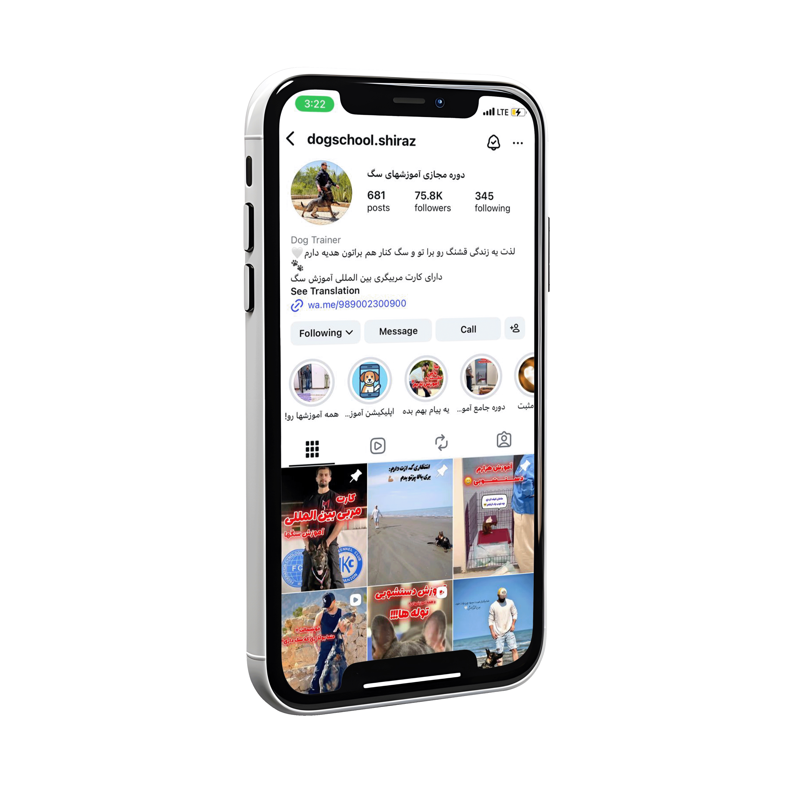 بهترین مربی سگ و اینستگرام مربی سگ